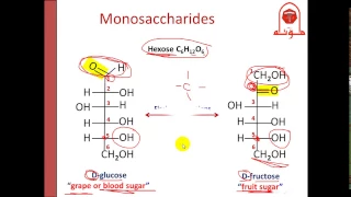 Biochem Second Dr Nisreen Carbohydrate 1 الجزء الأول 