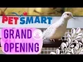 New Petsmart Grand Opening Store Tour Pet Store Tour Free Stuff Buying Gifts for Pets