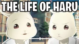 The Life Of Haru Beastars