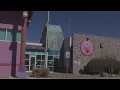 Thursday is Adopt a Shelter Pet Day in El Paso