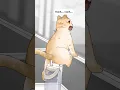 Lagu Eerste werkdag en de schok die volgde... Een ondeugende kat! #kat #dieren #animatie