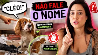 PARE DE FALAR O NOME DO SEU CACHORRO!!!!!