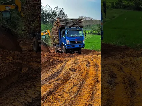 #truck #automobile #wheelsinmud #offroad