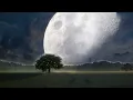 Super Blue Moon in August 2023 A Celestial Spectacle Not to Be Missed