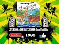 Download Lagu Jive Bunny \u0026 The Mastermixers - Thats What I Like  (Radio Version)