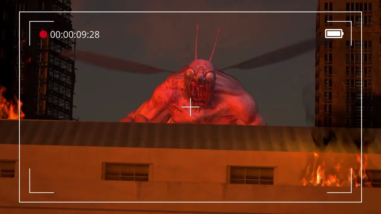 Video