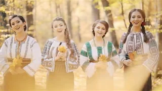 fetele din boto ani hai la boto ani 