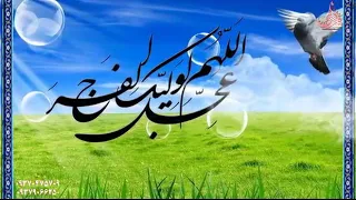 جدیدترین مداحی بسیار زیبای حاج محمود کریمی مناجات امام زمان عج 