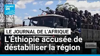 L'Érythrée accuse l'Éthiopie de déstabiliser la région • FRANCE 24
