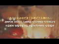 back number - 나는 너를 좋아하는데 너는 나를 별로 좋아하지 않는 거 같네(僕は君の事が好きだけど君は僕を別に好きじゃないみたい)/번역·해석+발음+가사/#backnumber