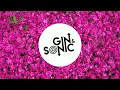Download Lagu Miley Cyrus - Flowers (Gin and Sonic Remix) - House, Tech House, Deep House