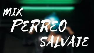 Download Mix Perreo Salvaje 🔥 OldSchoold - Reggeaton Antiguo Hist 🔥 Dj Anthony Alexander MP3