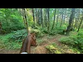 Download Lagu Horse Trail ride on a difficult single-track trail