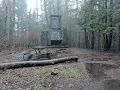 Epic Hike at Squak Mountain State Park Hidden Gem Trail in Issaquah Washington Near Seattle 2025