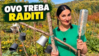 Bašta U Oktobru: Šta Sada Treba Raditi, a Šta NE TREBA