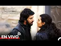 Download Lagu Amor De Contrabando En Español Todos Los Capítulos 7/24 #envivo