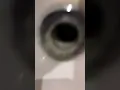 Download Lagu Super sus is in my sink #viral #edit #comedy #funny #youtubeshorts #meme #sink #goofy #humor
