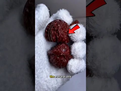 That's why they roll walnuts! 😮
