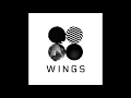 Download Lagu BTS - Blood Sweat and Tears [Instrumental]