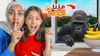 هجم غوريلا على حديقة بيتنا خو فنا كتير 