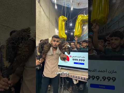 أنا والكبش مراعين لك انت 🫵🏻🐑