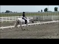 Maya Rosenthal-First Level Test 1 July 2023