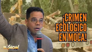 ¡CRIMEN ECOLÓGICO EN MOCA! Denuncian tala indiscriminada de árboles | ESM
