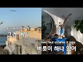 에피소드 - 이무진 (KY.80520) / KY KARAOKE