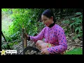 Hoàng Thị Mai bought a new pair of trousers for her boyfriend at the market | Rura Life, Farming