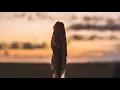 Hosini - Dimna