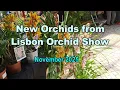 APO Orchid SHOW and ORCHID Haul 🌺🌺🌺 LEGENDAS em PORTUGUÊS e Dobragem automática