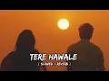 Tere Hawale [ Slowed and Reverb ] Music Lover