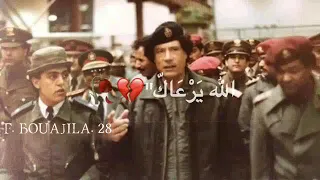 الي سمك انتي عضمه  الي سمك انتي عضمه