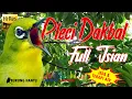 Download Lagu Masteran Pleci Dakbal Dakun Bali Cepat Gacor Full Isian Mudah Masuk