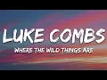 Download Lagu Luke Combs - Where the Wild Things Are (Lyrics)