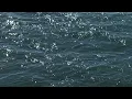 Bay Ledges - Road Trip Mix (Official Visualizer)