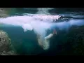 Jack Kays - Feel Like Me (Official Video)