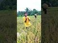 Download Lagu lumpur dan berlian remix #shorts #viralvideo #laguviral