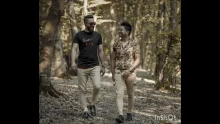 اهنگ زیبای ناصر عباسی  دلتنگ خودم  دندنها