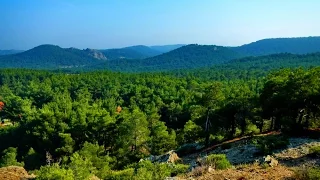 Dadia Greece Thrace AtlasVisual  Dadia Greece Thrace AtlasVisual