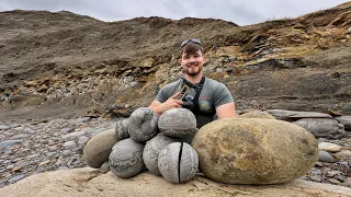 We Cracked Open These Giant 185-Million-Year-Old Stones…