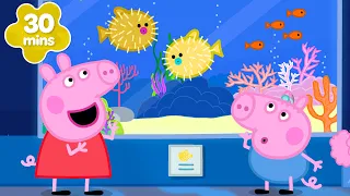 Peppa Pig découvre les ANIMAUX MARINS ! 🐡🌊 | Les Contes de Peppa Pig