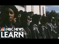 Black Panthers