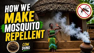 How we make mosquito repellent using Cow Dung ,Sustainable Village living ,Peaceful African Village