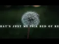 Ella Langley - Dandelion (lyrics) #songlyrics #dandelion #ellalangley
