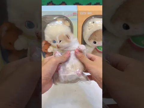 新到的猫咪捏捏 这手感还挺真实的 #小奶猫的成长日记 #铲屎官的乐趣