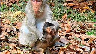 jody not angry with mum jane for going jody crying stop mum waiting milk 