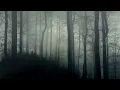 Download Lagu Dark Ambient Horror Background Music [10 Hours] Stream Safe