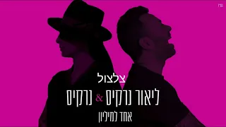 ליאור נרקיס ונרקיס אחד למיליון צלצול 