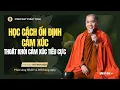 Download Lagu Học Cách Ổn Định Cảm Xúc Và Thoát Khỏi Cảm Xúc Tiêu Cực | Thầy Minh Niệm | Phúc Tịnh